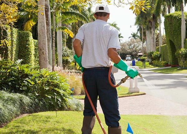 About Greensboro VT Pest Control Pros